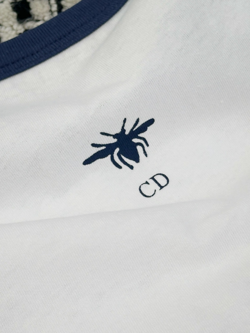 c450ac8e35261c24fcb77dd8627c11bd_1722227068_5915.jpg