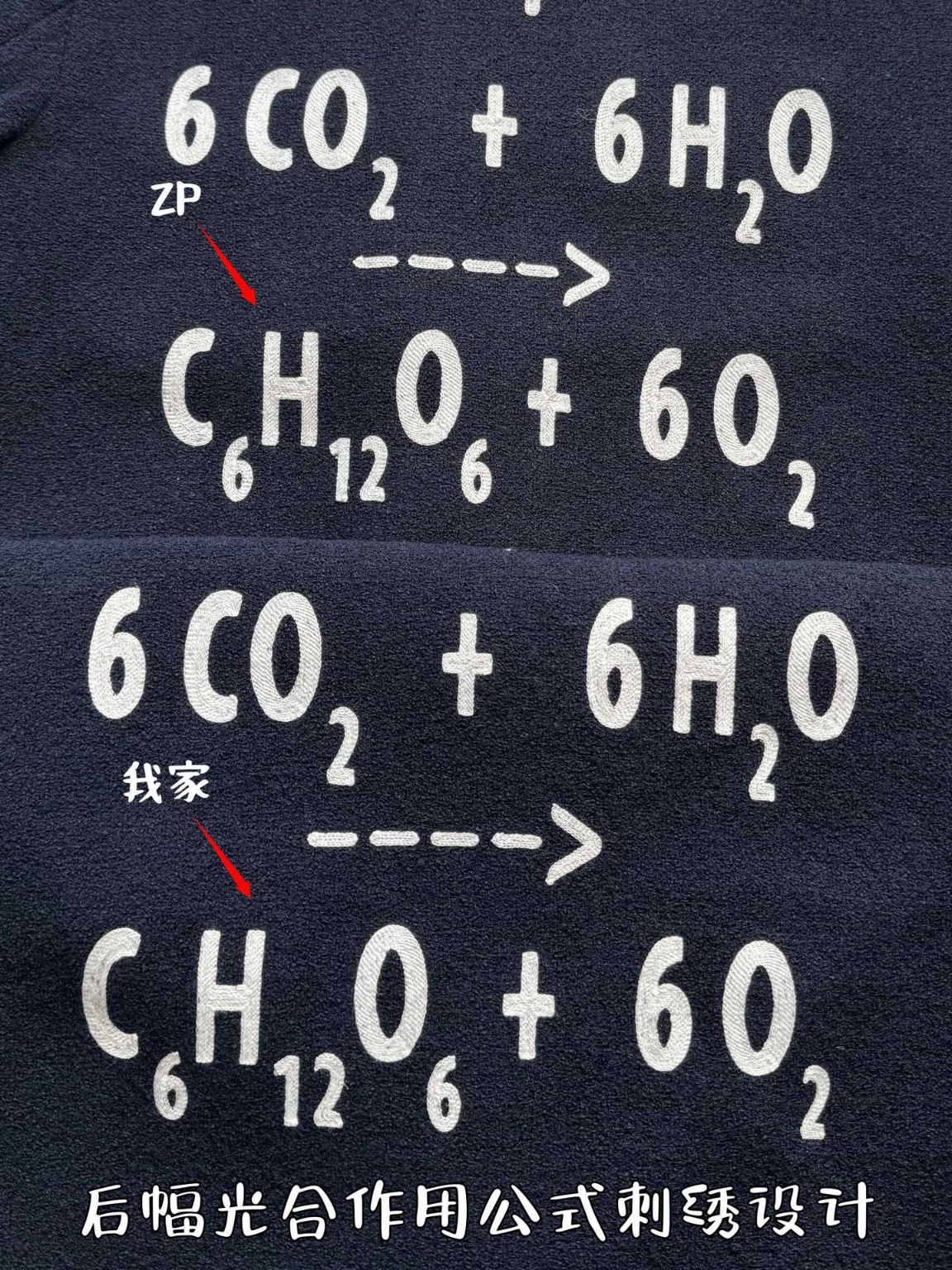 887fa145e0346f0078133de6f16d22c0_1741738663_8114.jpg