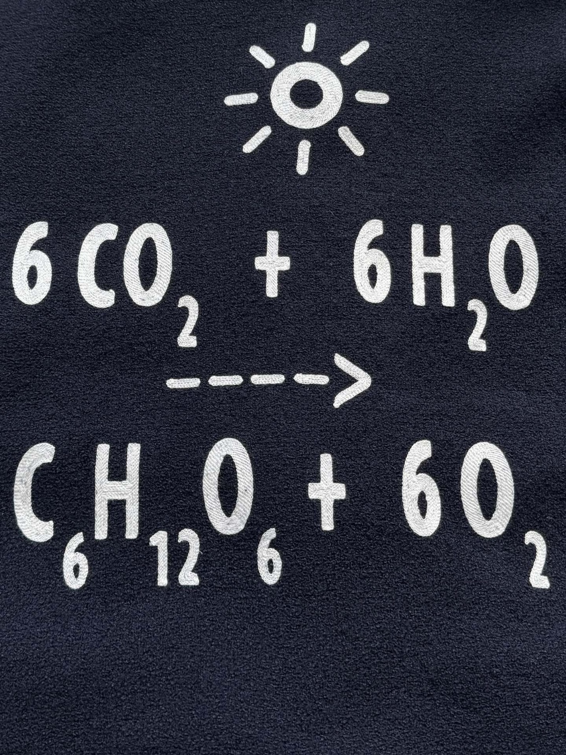 887fa145e0346f0078133de6f16d22c0_1741738672_3852.jpg