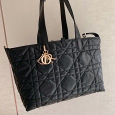 디올 뚜즈흐백미디엄