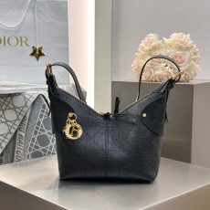 디올 보야지스몰백