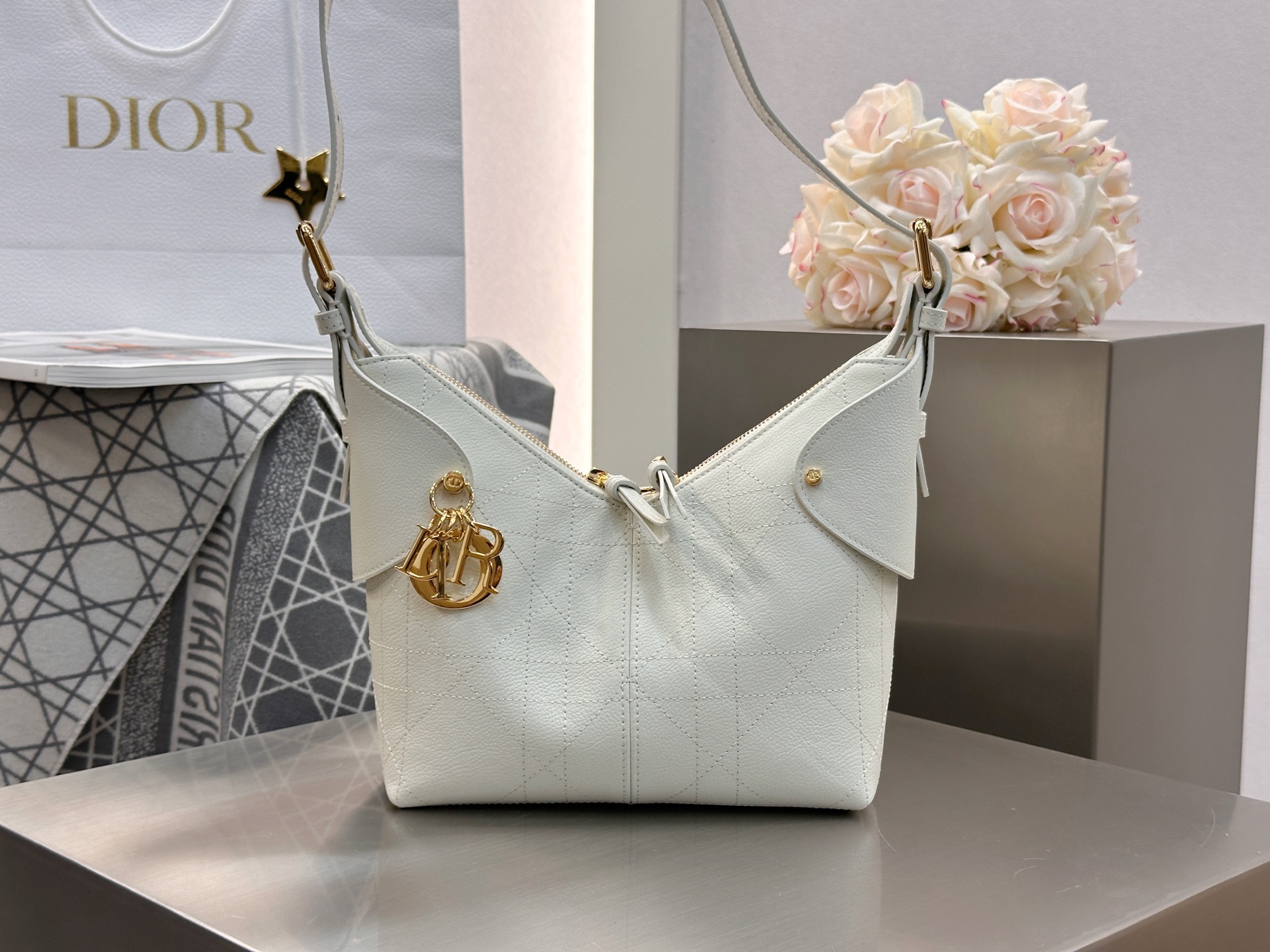 디올 보야지스몰백