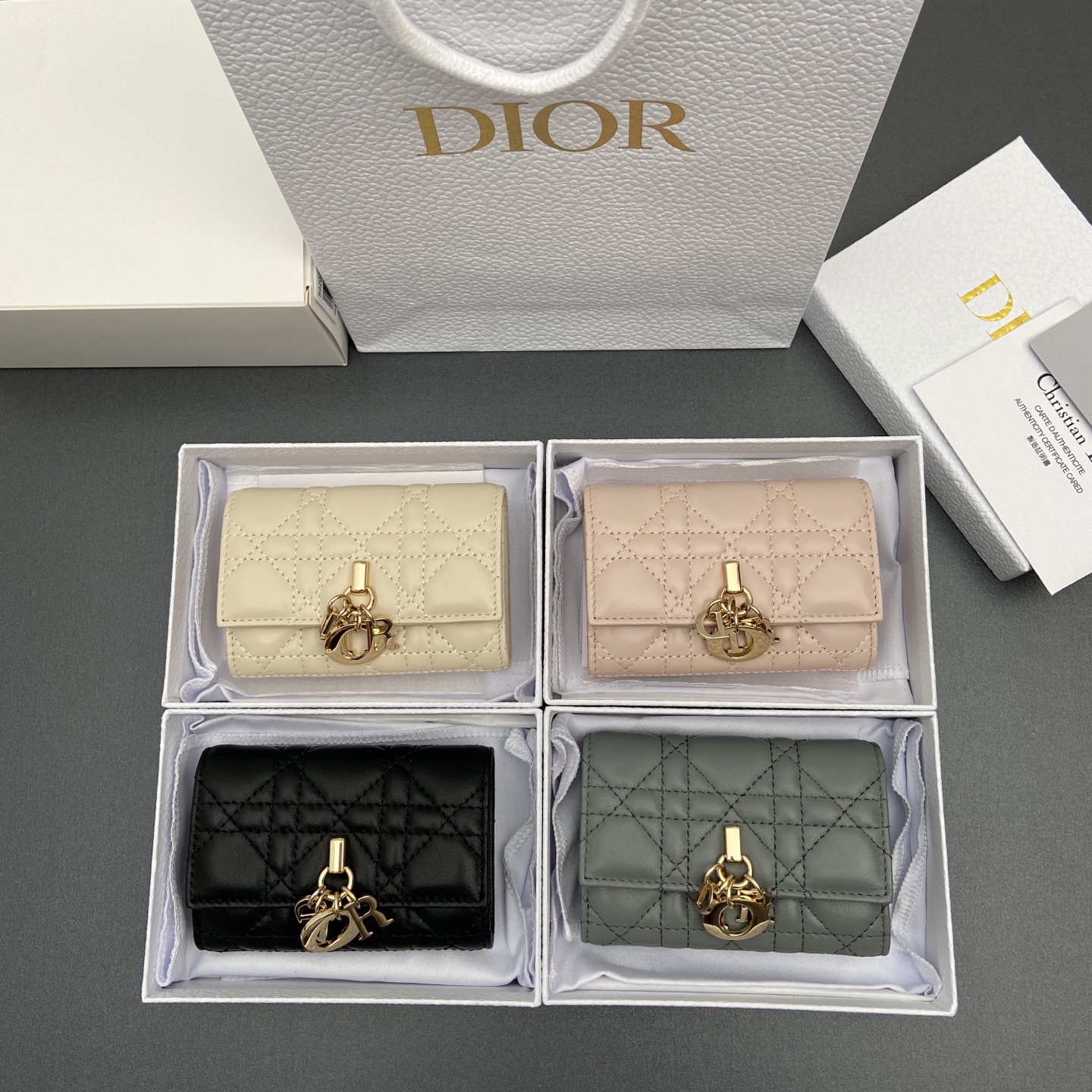 디올 카드지갑