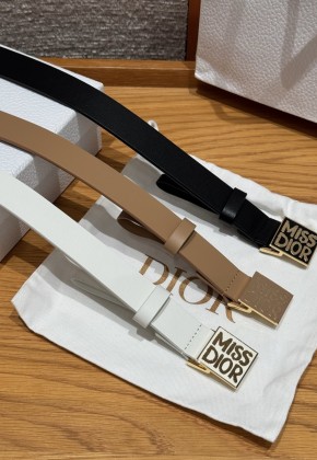 디올 벨트